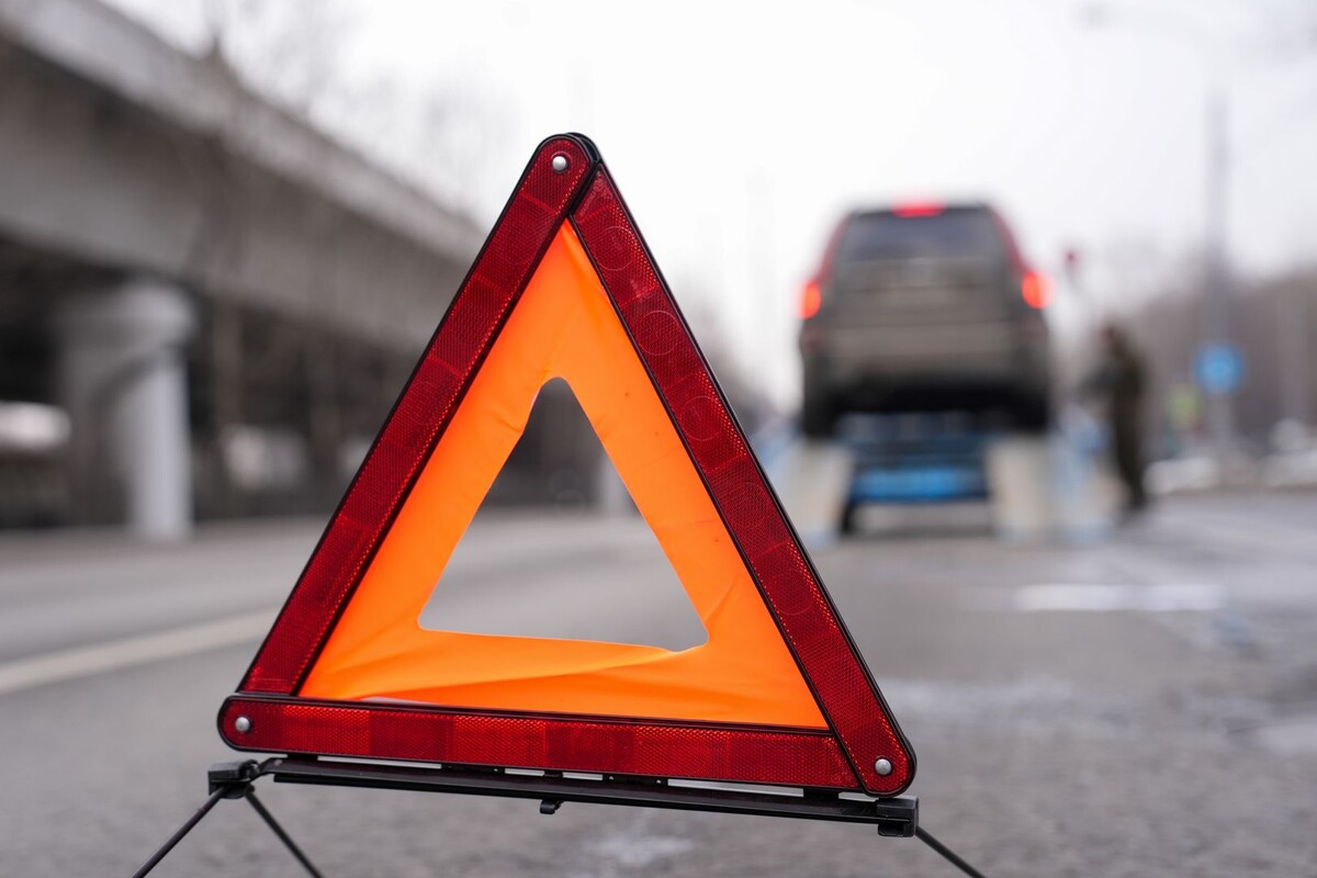     / Источник: © ИЗВЕСТИЯ/Эдуард Корниенко