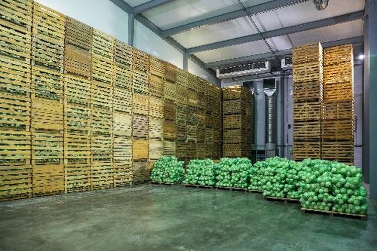    Фото: Юлия Ермакова