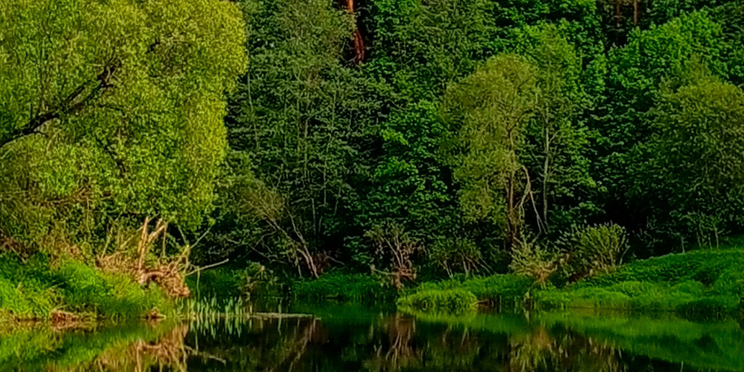 Яндекс ипотека. Оказывается такое бывает.