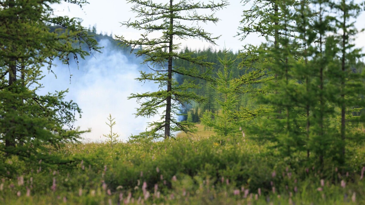    Фото: Юлия Чудинова / «Ямал-Медиа»