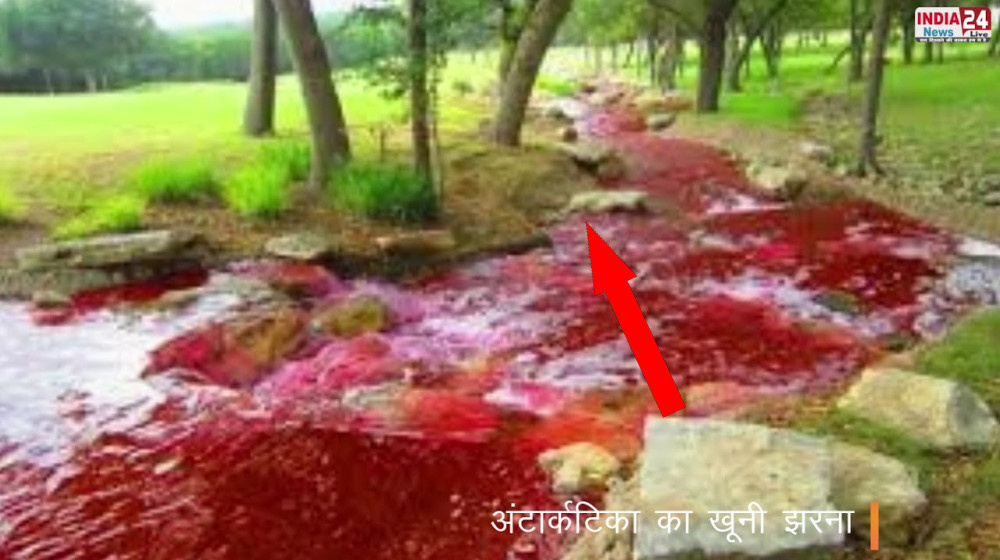    Кровавый дождь в Керале шокирует ученых и местных жителей