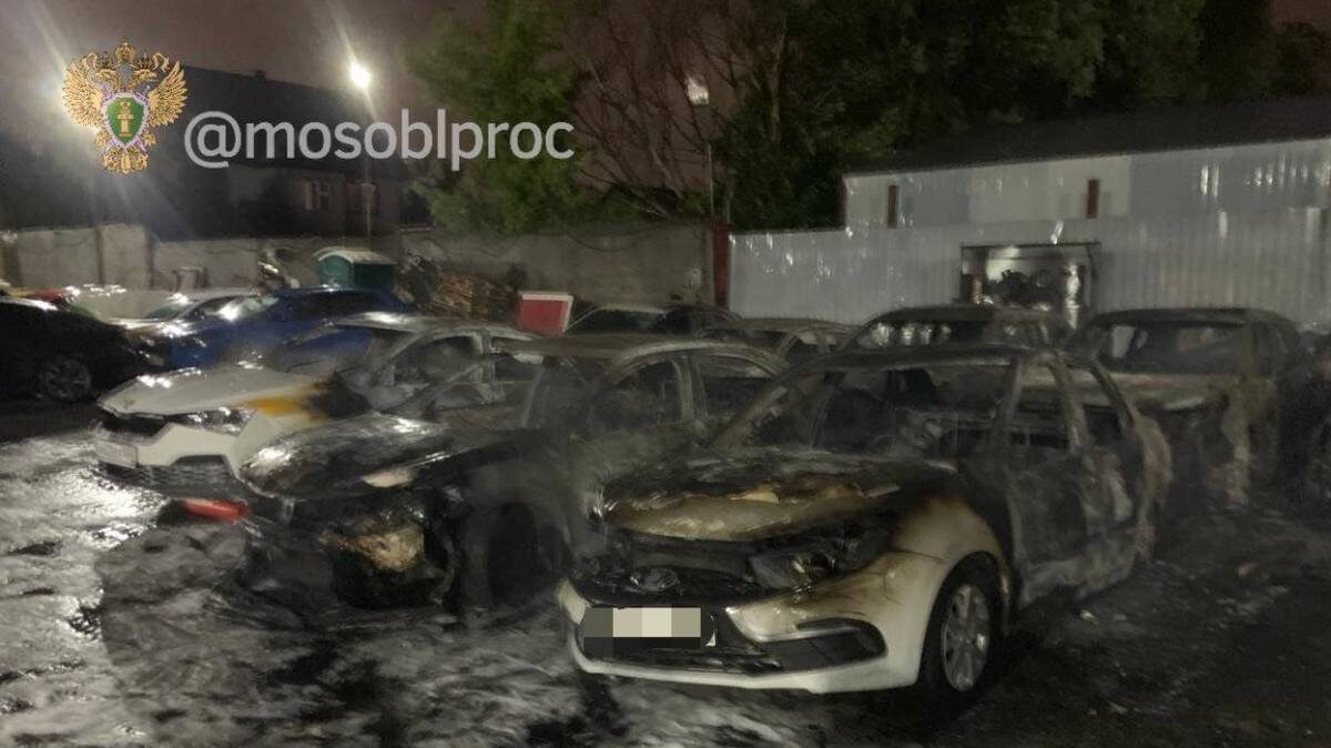    Фото: прокуратура Московской области / Telegram