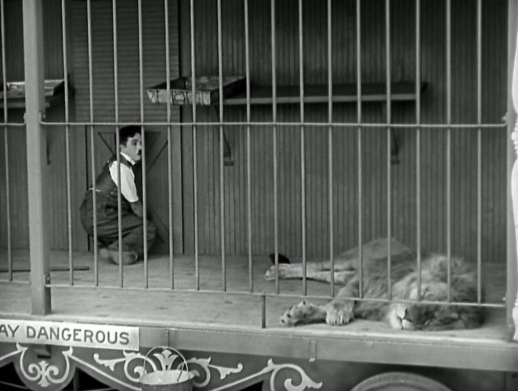 Знаменитый актер, лев, цирк