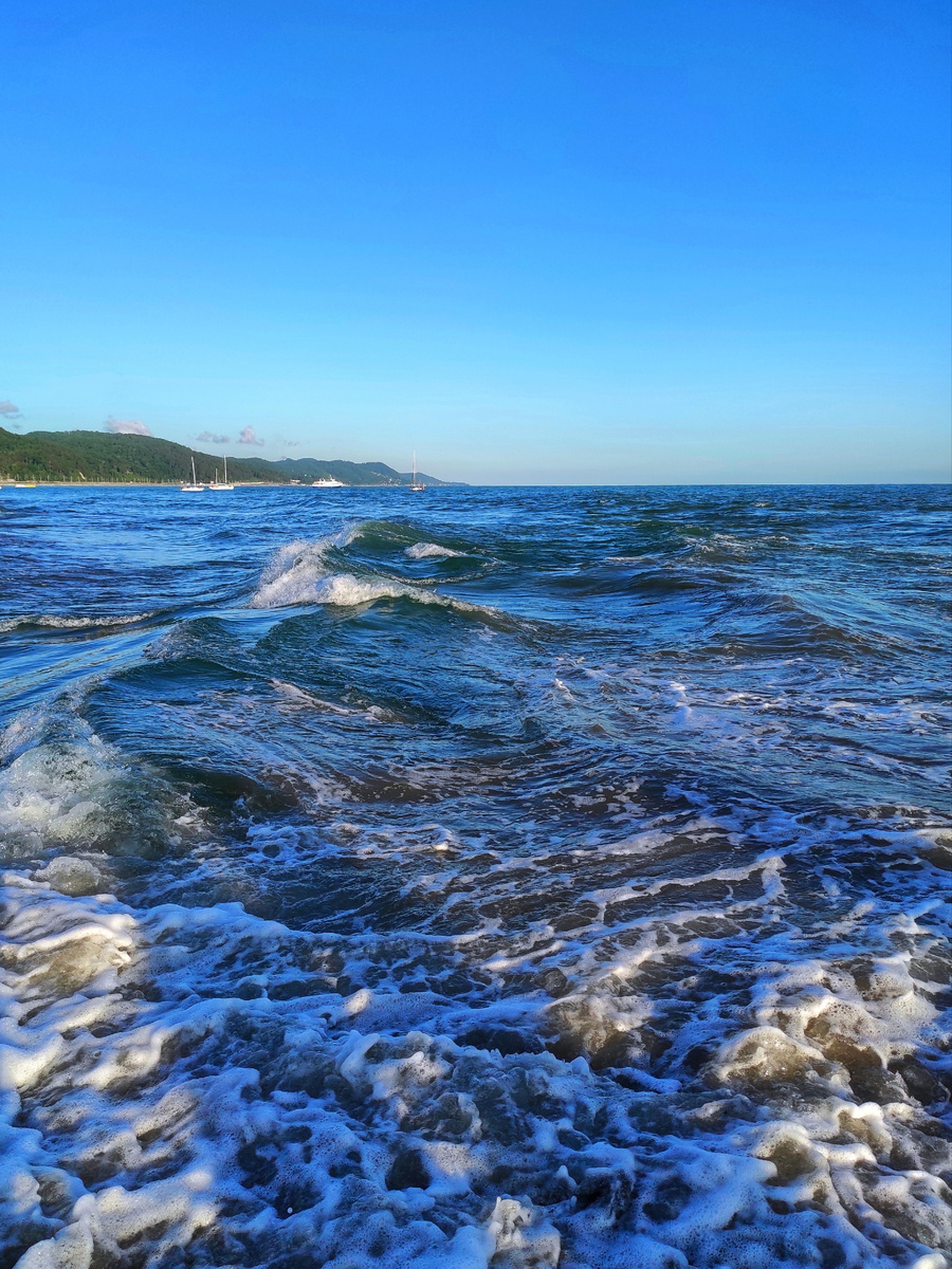 Фото автора. 24 июня 2025 года. Лазаревское