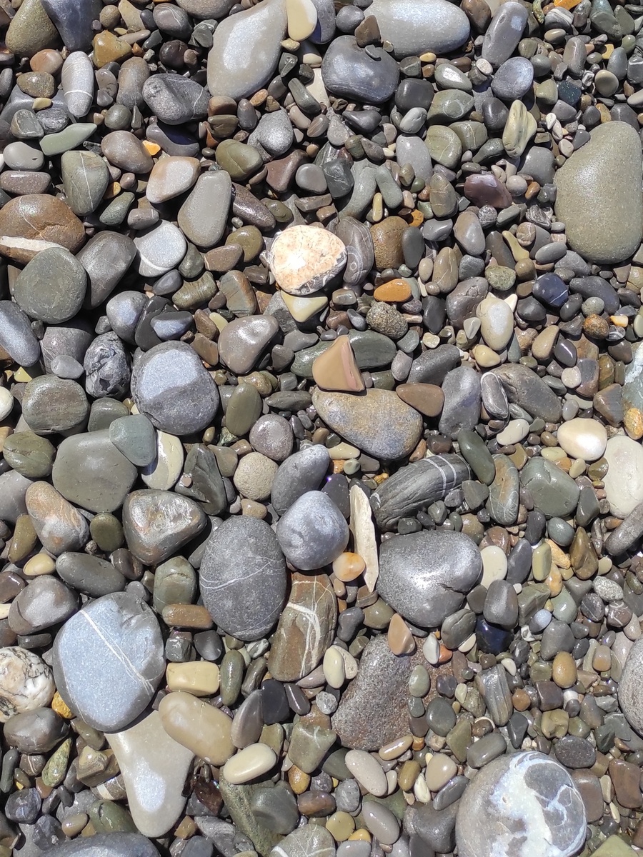 Фото автора. 22 июня 2025 года. Лазаревское