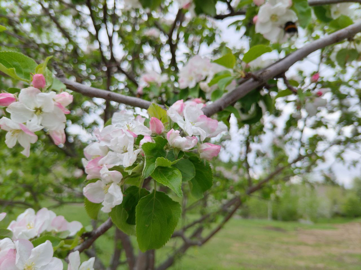 Фото автора.