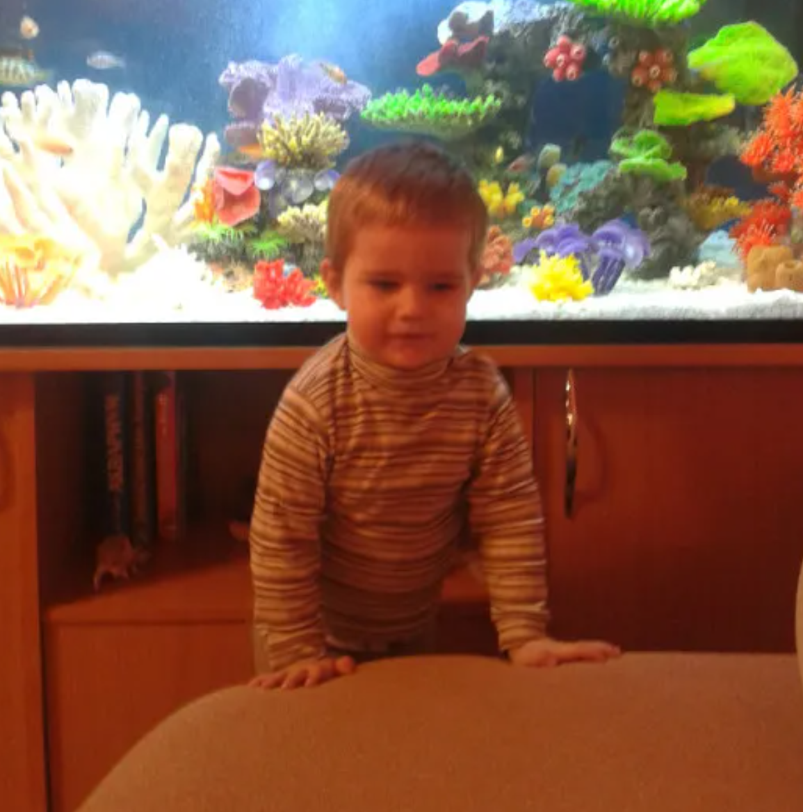 Фото из общего доступа в интернете (Ваня, старший сын Д.Сухановой)