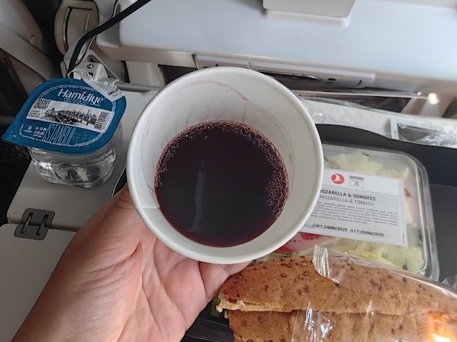 Обслуживание на рейсе туркиш Эйрлайнз