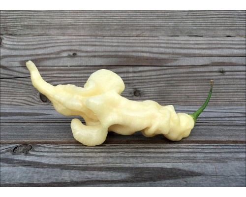 Фото с сайта pepperseeds.ru