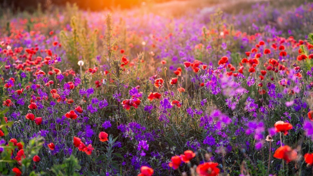     Фото: Creative Travel Projects/Shutterstock/FOTODOM