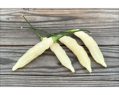 Фото с сайта pepperseeds.ru