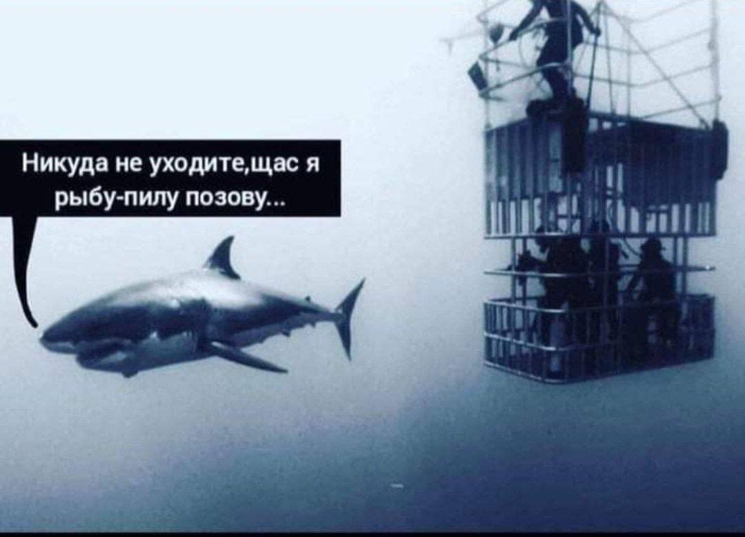 Мем из открытых источников 