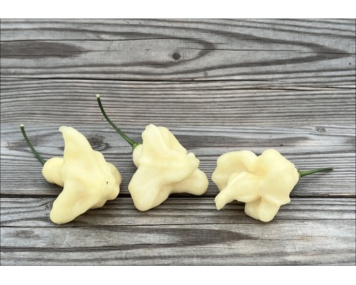 Фото с сайта pepperseeds.ru