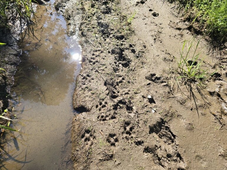    Фото: Pchela.news