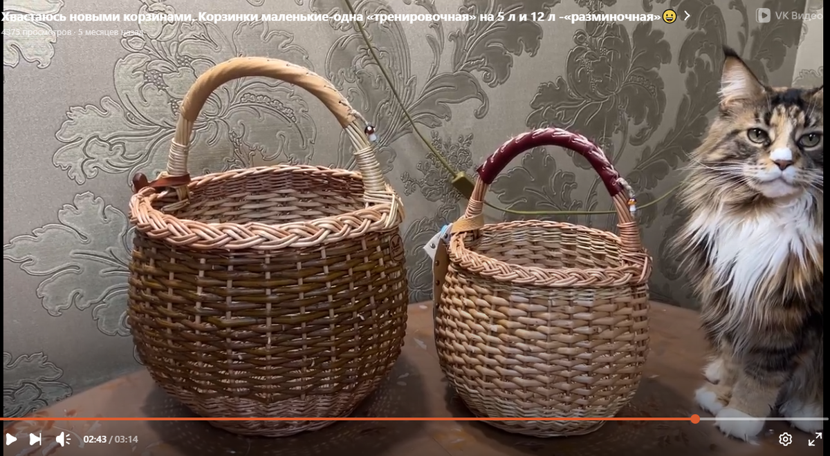 Скрин с видео . 23 января 2025