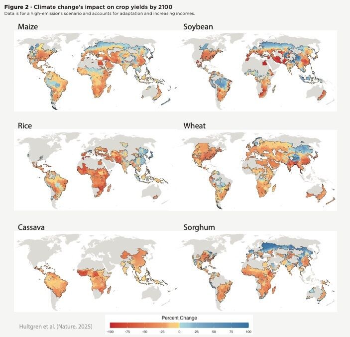 Иллюстрация: Springer NatureSome of the biggest crop-growing regions in the world are likely to experience the largest declines in yield as the climate changes.
