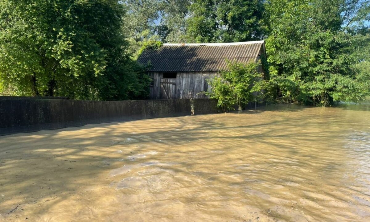    Фото t.me/sevadm