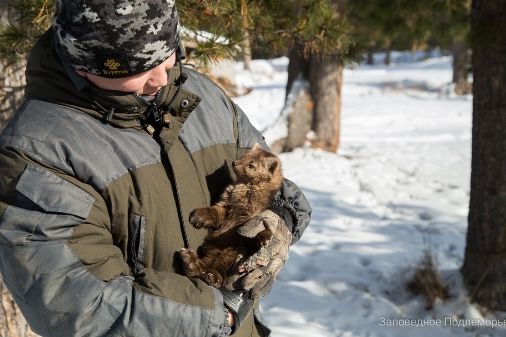 Фото из Яндекса
