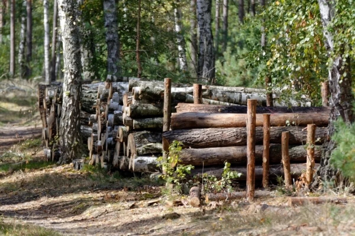    Организация заплатит 22 млн рублей за вырубку деревьев в Тверской области