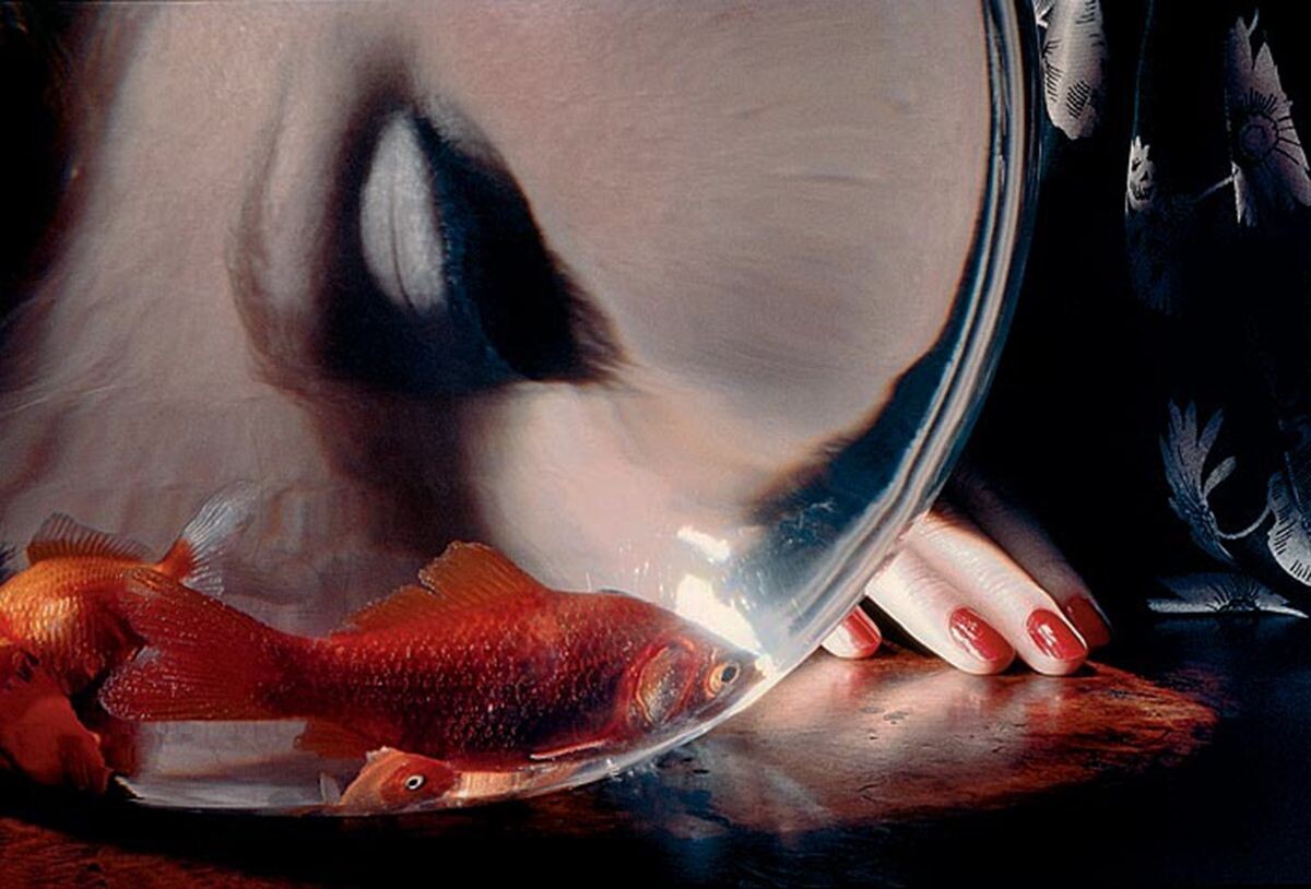 фото Ги Бурден