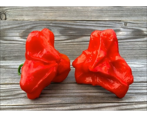 Фото с сайта pepperseeds.ru