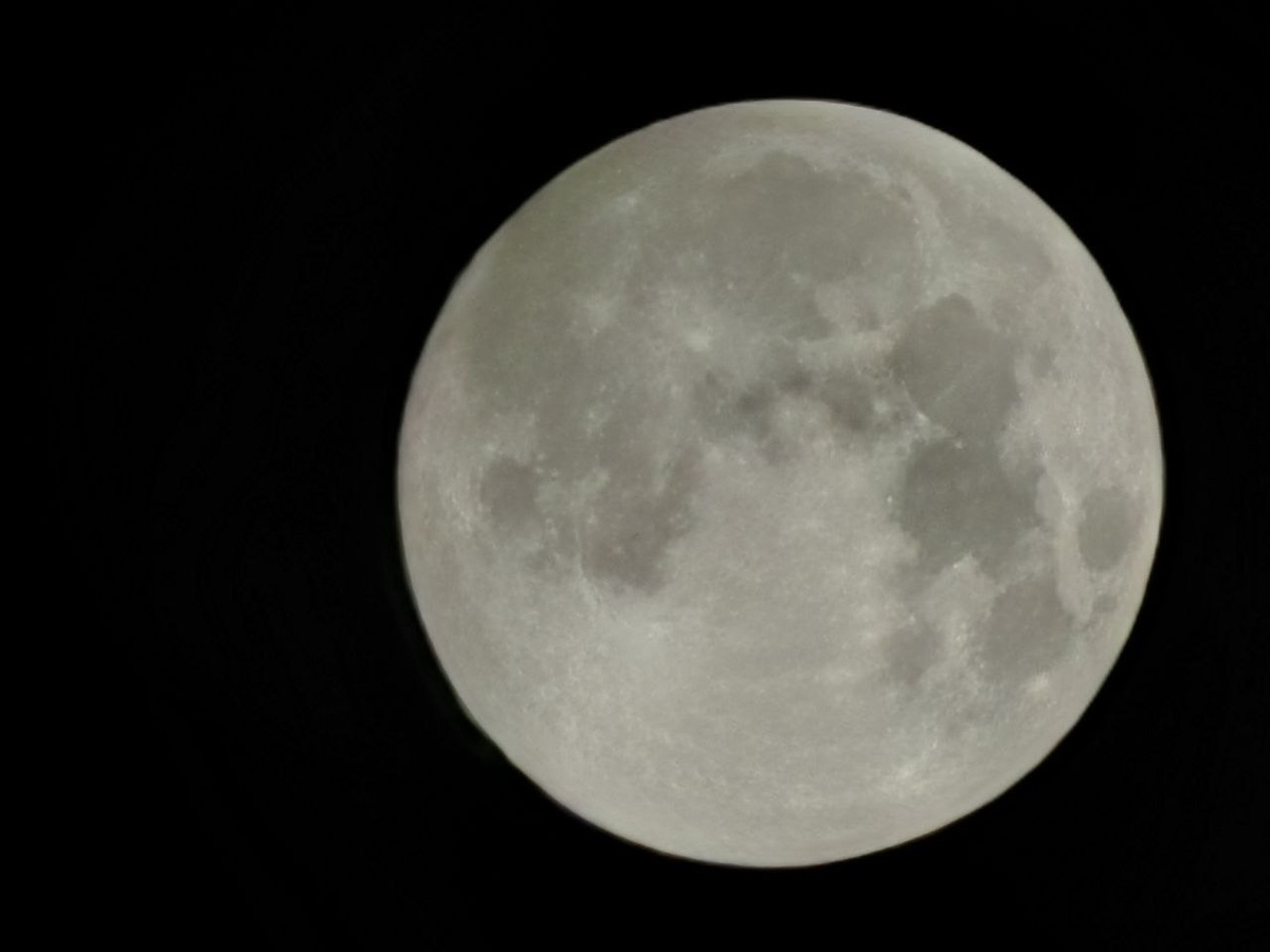 Фото: МК в Питере