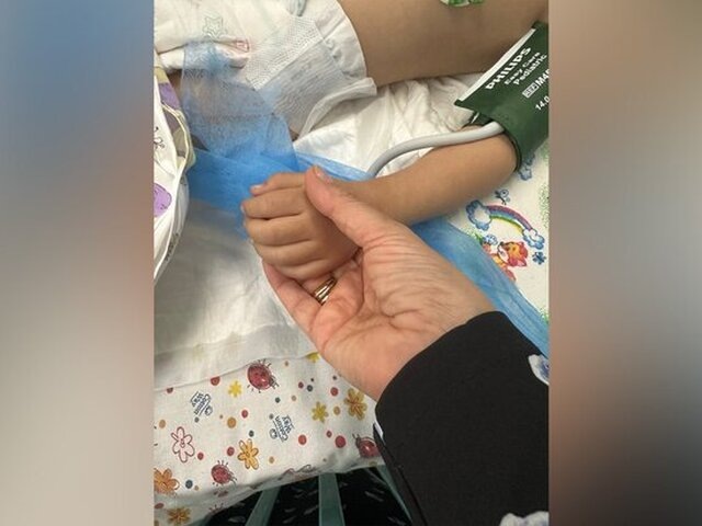    Фото: телеграм-канал "Мишонова"