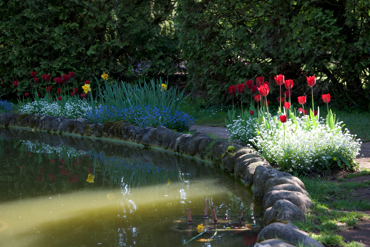 Designed by Freepik. Источник: www.freepik.com