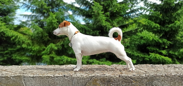 Фото: rtraveler.ru