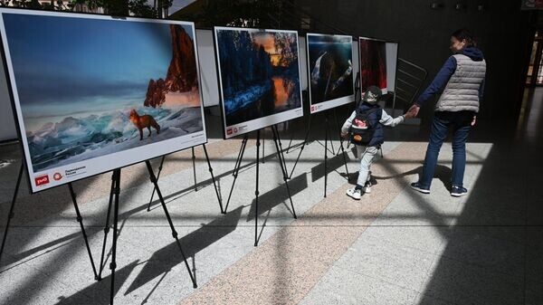    © Sputnik / Виктор Толочко