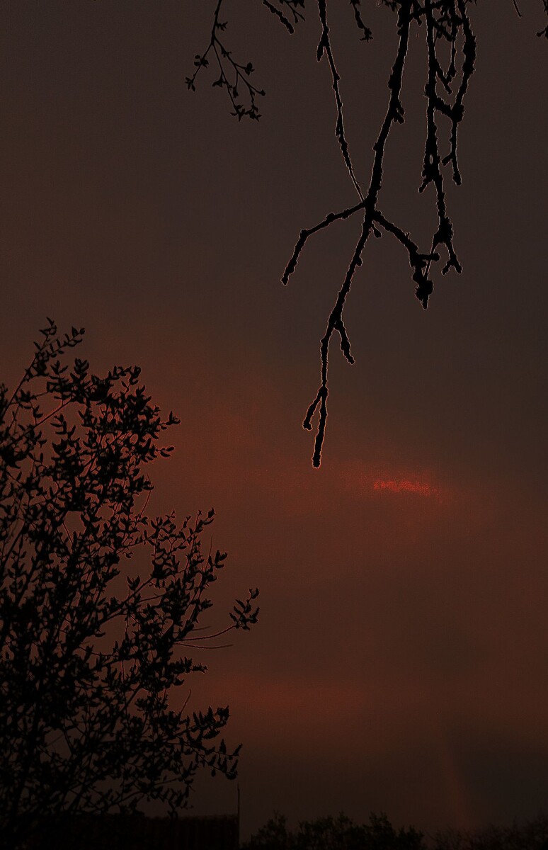 Личный архив/ фото