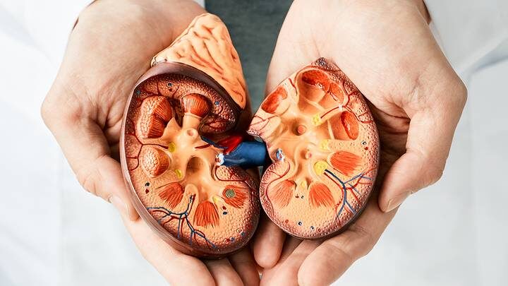  Фото: shutterstock