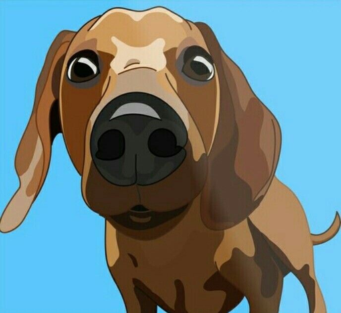 А у вас есть танцующие пылинки? 