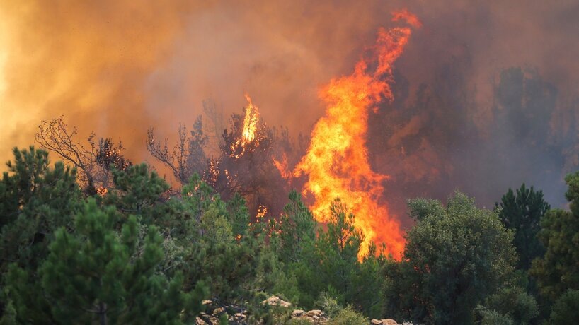    Фото: AP Photo/Emre Tazegul