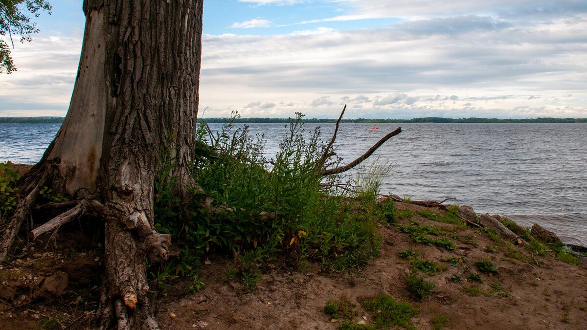    Фото: Svetlana Vozmilova/globallookpress.com