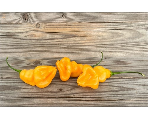 Фото с сайта pepperseeds.ru