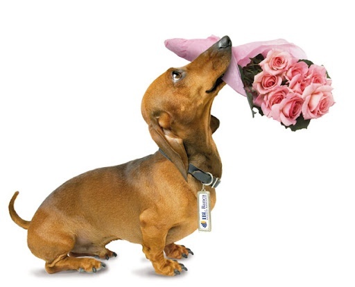 Иду извиняться перед бабушкой