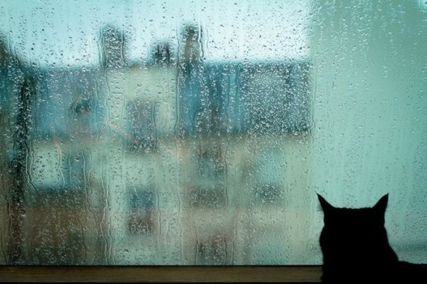 картинка из интернета