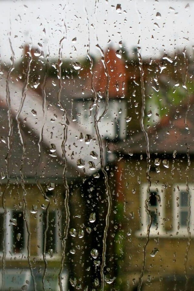 картинка из интернета