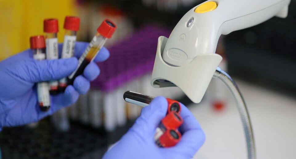    РИА «Новости»