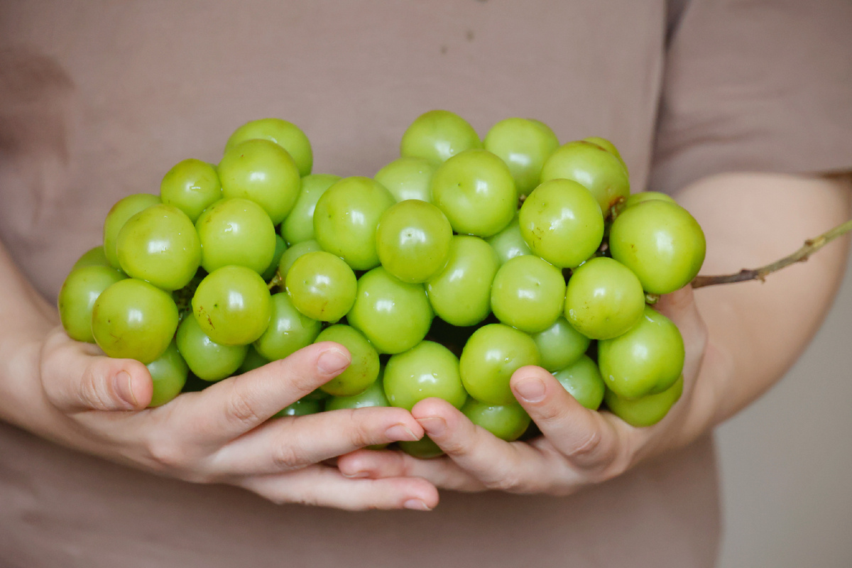 Фото: © Ekaterina Sychkova/ URA.RU/ Global Look Press
