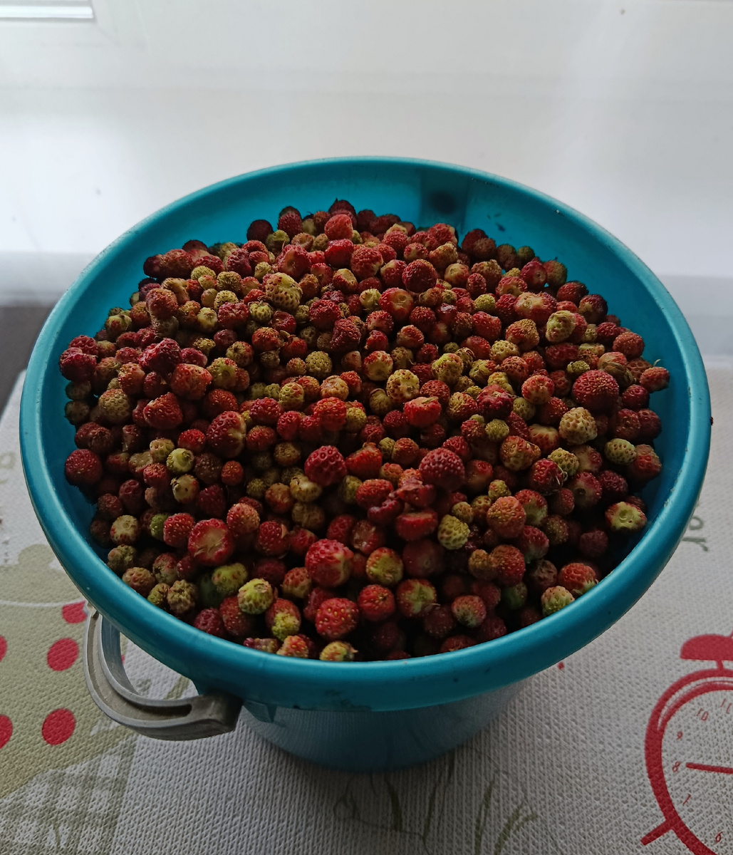 Личное фото автора канала