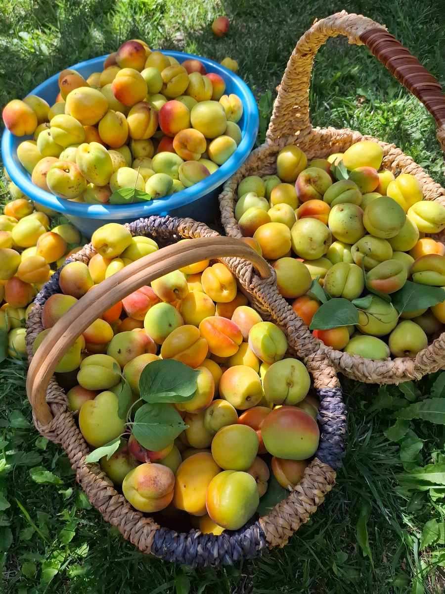 Фото автора.