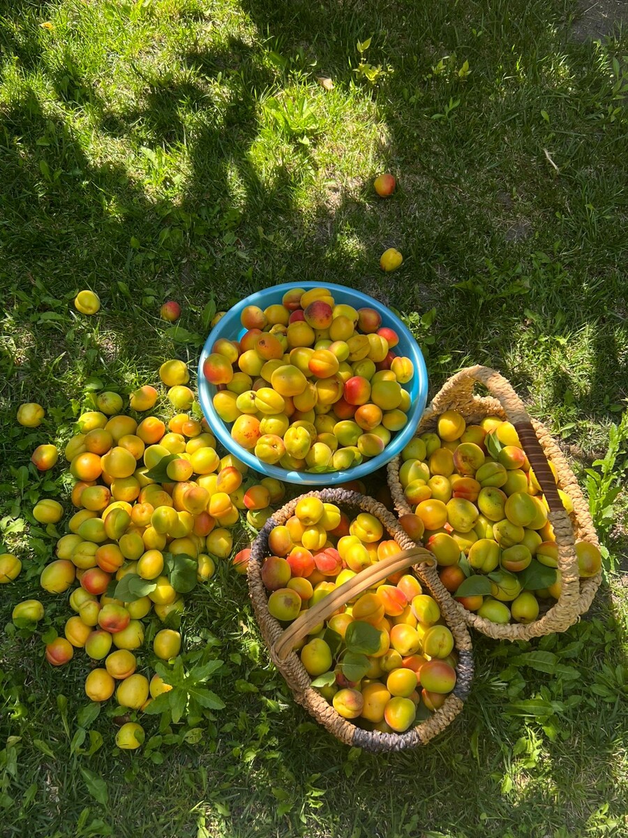 Фото автора.