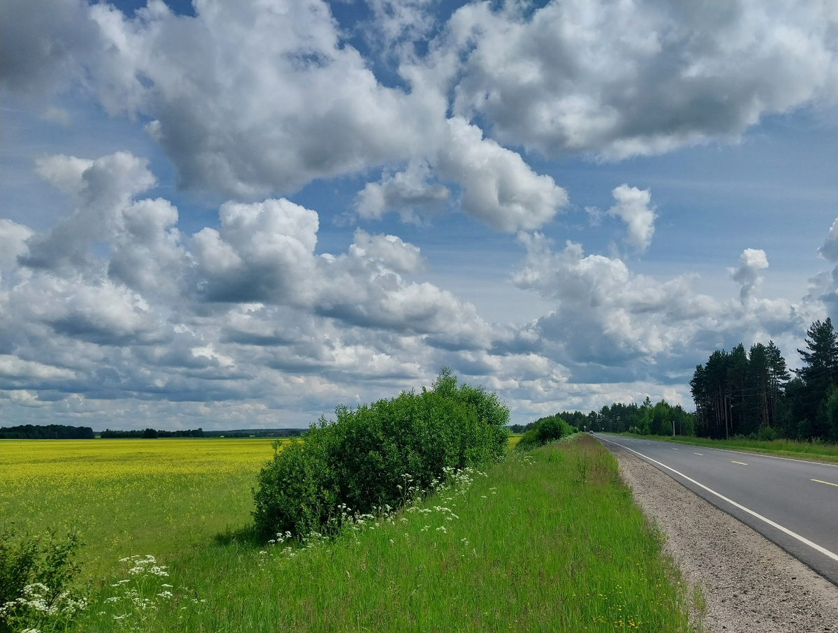 По дороге в Лух