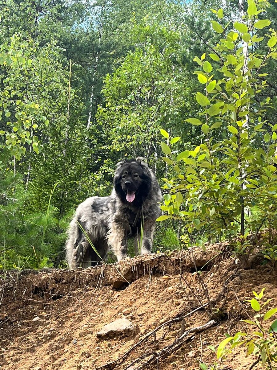 Деля - сталкер