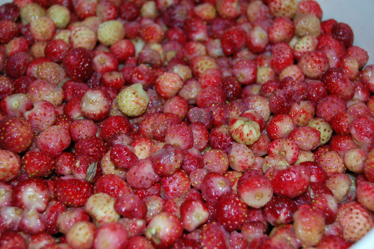 Собранная клубника для джема