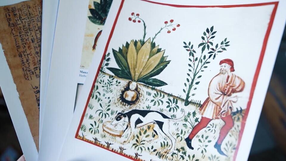 Фото: © Кадр из программы "Легенды и мифы", РЕН ТВ