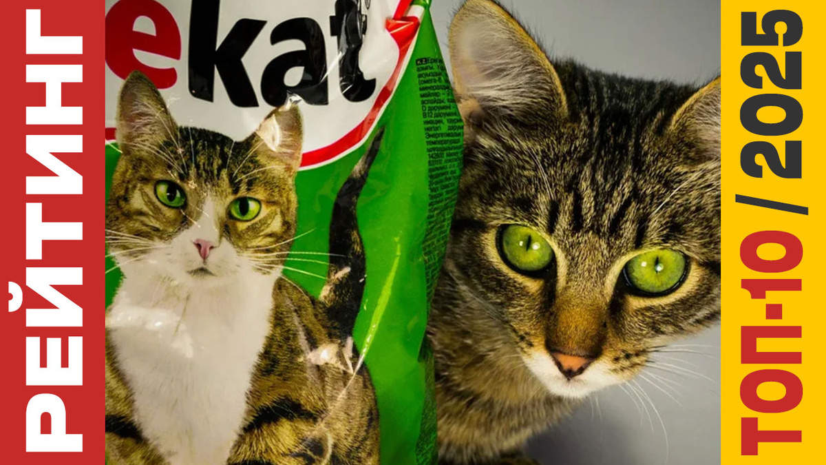 ТОП-10 Кормов для кошек 2025 года: Рейтинг лучших моделей