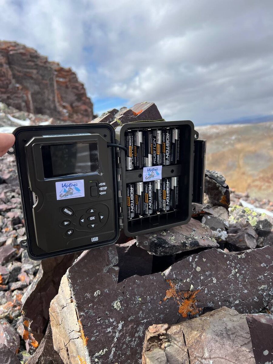 Фотоловушка в местах обитания ирбиса. Камера открыта и внутри видын батарейки и меню настройки.